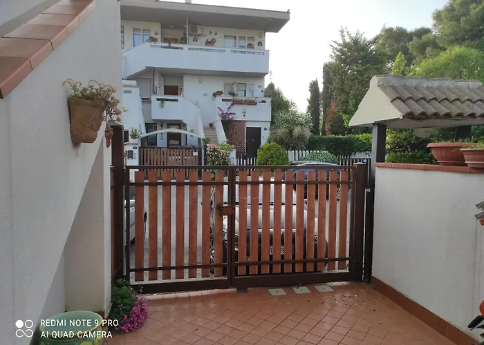 Appartamento Intero Appartamento, Bilocale Di 55 Mq ,soggiorno-cucina Open Con Divano Letto, Matrimoniale ,con Giardino Privato E Corte Francavilla Al Mare